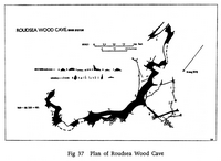 bk waltham74 Roudsea Wood Cave